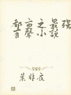 都市之最强狂兵有声小说