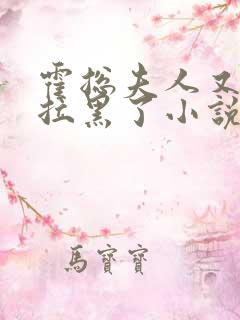 霍总夫人又把你拉黑了小说