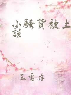 小骚货被上的小说