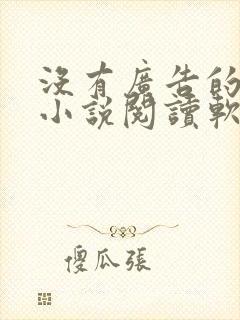 没有广告的本地小说阅读软件