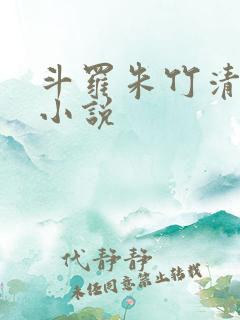 斗罗朱竹清女主小说