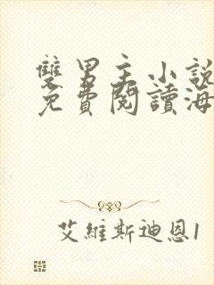 双男主小说小说免费阅读海棠全文