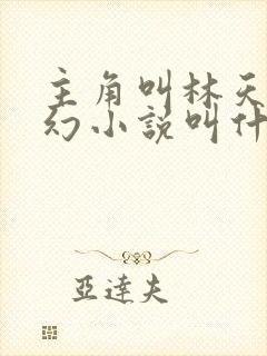 主角叫林天的玄幻小说叫什么名字