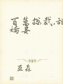 百万总裁,甜宠娇妻