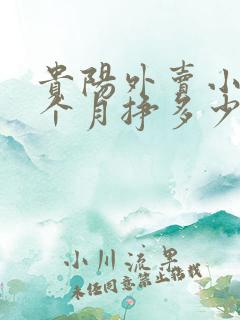 贵阳外卖小哥一个月挣多少