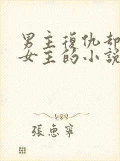 男主复仇却爱上女主的小说