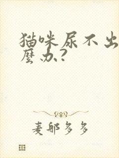 猫咪尿不出尿怎么办?