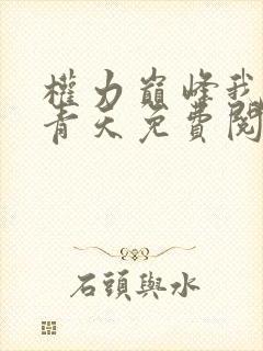 权力巅峰我不是青天免费阅读