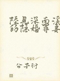 陆见深南溪陆少的隐婚罪妻