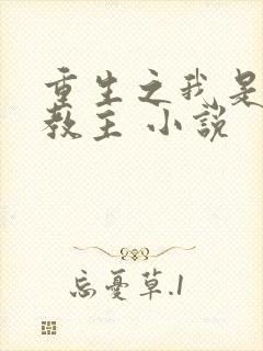 重生之我是魔教教主 小说