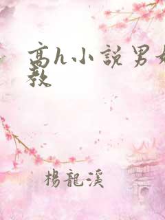 高h小说男奴调教