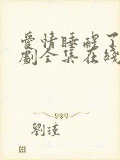 爱情睡醒了电视剧全集在线观看免费观看