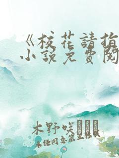《校花请指教》小说免费阅读