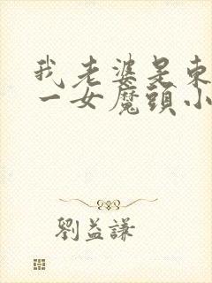 我老婆是东晋第一女魔头小说在线