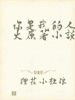 你是我的人间烟火原著小说