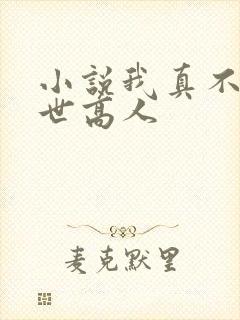 小说我真不是盖世高人