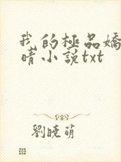 我的极品娇妻苏晴小说txt