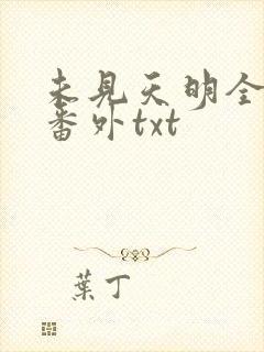 未见天明全文加番外txt