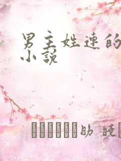 男主姓连的现代小说