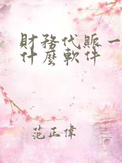 财务代账一般用什么软件