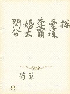 闪婚夺爱总裁老公太霸道