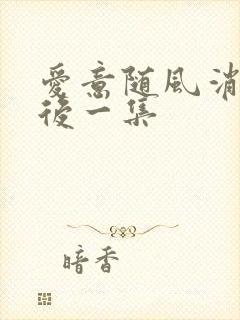 爱意随风消逝最后一集