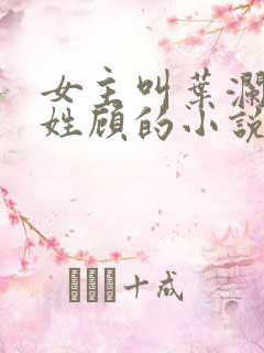 女主叫叶澜男主姓顾的小说