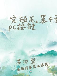 究极风暴4初始pc按键