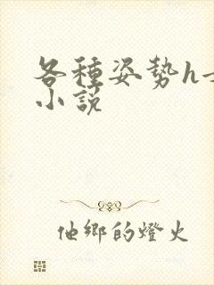 各种姿势h女主小说