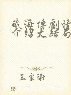 藏海传剧情分集介绍大结局