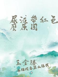 尿液带红色是什么原因