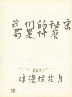 我们的秘密大结局是什么