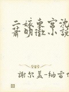 二嫁东宫沈雨燃萧明彻小说免费阅读全文