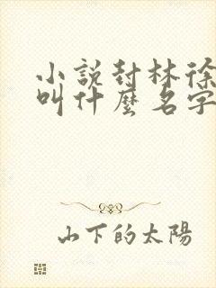 小说封林徐若影叫什么名字?