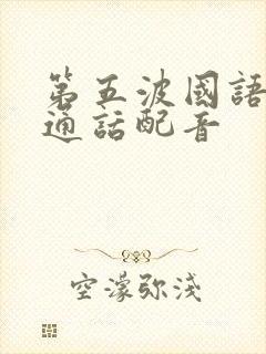 第五波国语版普通话配音