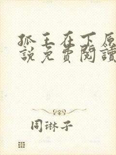 孤王在下原著小说免费阅读