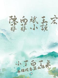 陈向斌王宏达沈菲菲小说