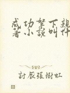 成功拿下亲妈原著小说叫什么名字