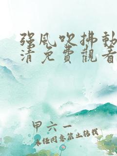 强风吹拂动画高清免费观看