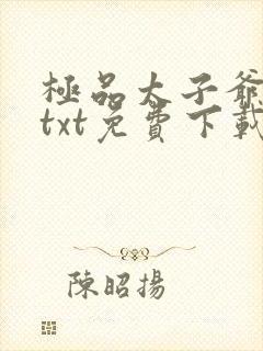 极品太子爷浮沉txt免费下载