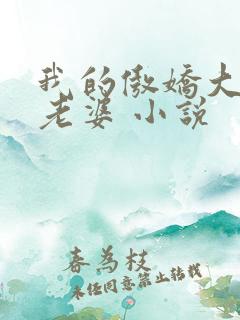 我的傲娇大小姐老婆 小说