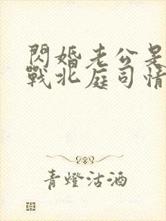 闪婚老公是豪门战北庭司情短剧