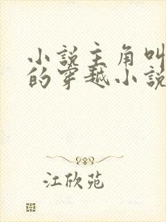 小说主角叫金峰的穿越小说