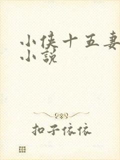 小侠十五妻原著小说