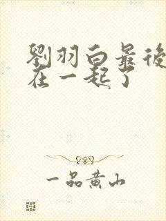 刘羽白最后和谁在一起了