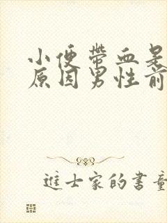 小便带血是什么原因男性前列腺