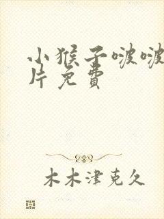 小猴子啵啵动画片免费