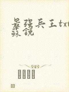 最强兵王txt苏锐