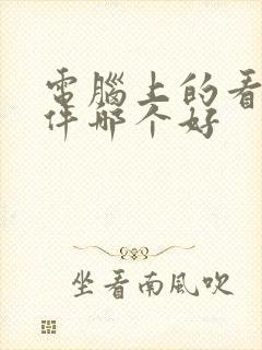 电脑上的看书软件哪个好