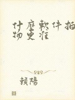 什么软件拍照识物更准